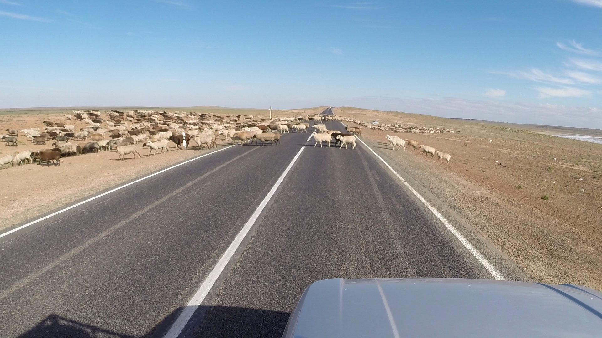 Day 30: Driving Towards Kazakhstan with Expired Visa